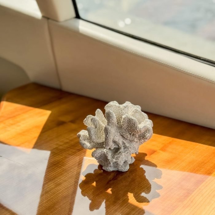 44cb8490-dc27-4f51-bb67-6f088e26f4b0